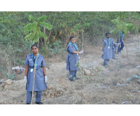 Scout And Guide Training Program Sairam Is 133rd Scout & Guide District In Tamil Nadu on 26-04-2024